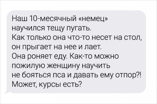Девушка-ветеринар поделилась забавными переписками с ее клиентами