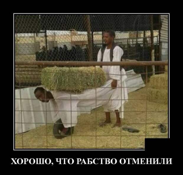 demotivatory-demotivator-smeshnye-demotivatory-demotivator-so-smyslom