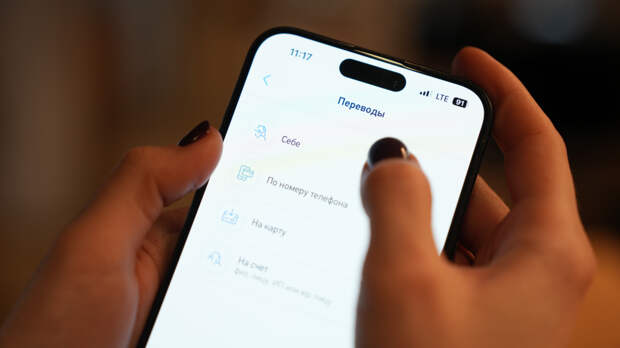 Центробанк опроверг изменения стоимости переводов по СБП c 1 мая