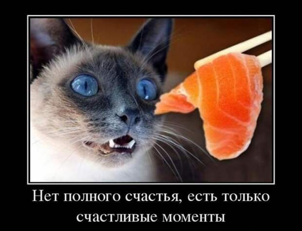 Подборка классных демотиваторов № 160