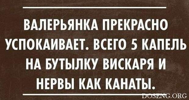 Подборка шуток и приколов