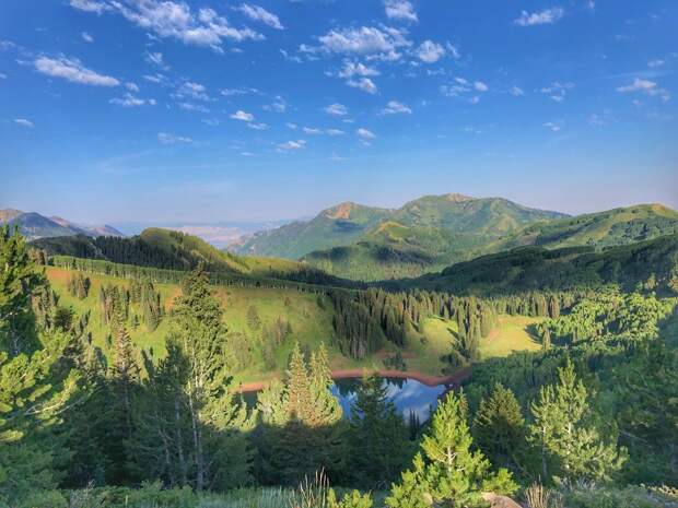 Красота природы на фотографиях