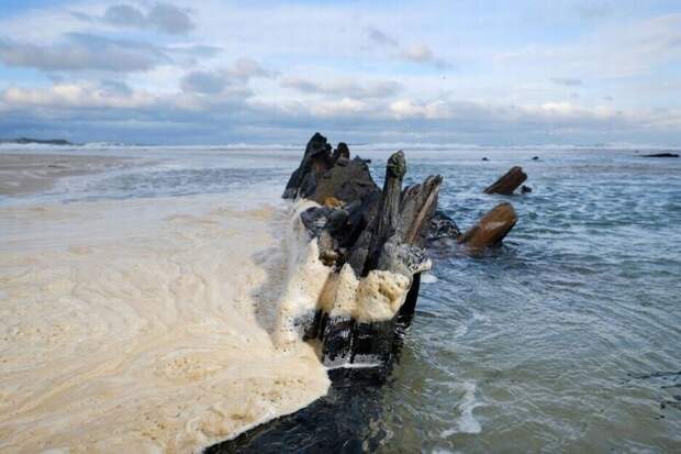 В Англии на пляже появились останки древних кораблей