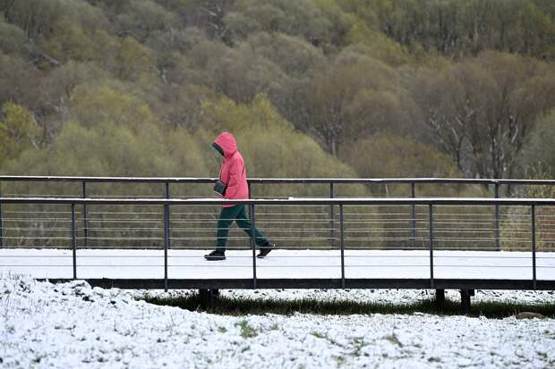 Москвичей успокоили насчет грядущих сугробов