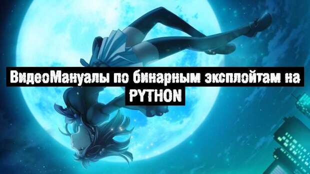 ВидеоМануалы по бинарным эксплойтам на Python