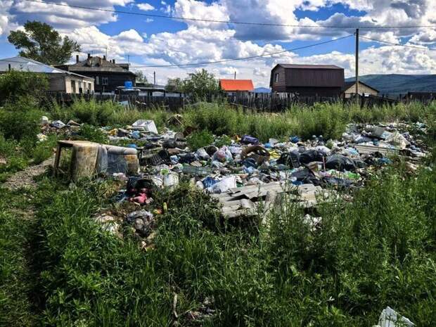 Фотоловушки в регионе зафиксировали более 50 нарушений за два месяца