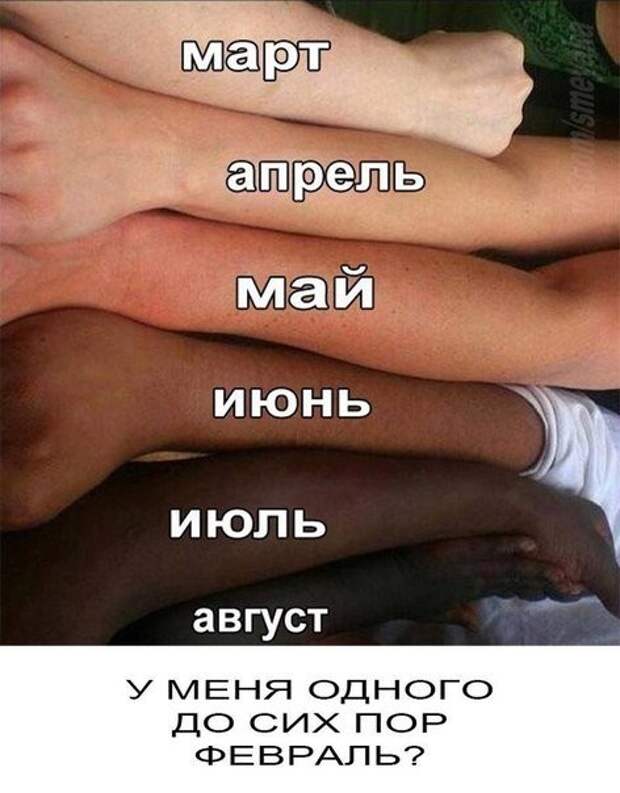 Фотомемы мемы, надписи, юмор