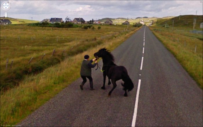 Неординарные снимки из сервиса Google Street View (47 фото) Неординарные снимки из сервиса Google Street View (47 фото)