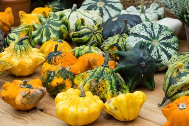 Фантастически красивые патиссоны. \ Фото: chefmarket.ru. Фантастически красивые патиссоны. \ Фото: chefmarket.ru.