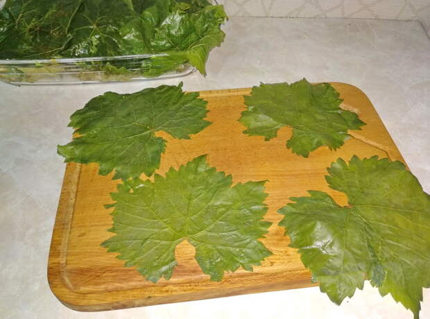 Готовлю «Долму неприлично вкусно» уже лет 30. Расскажу, как я заготавливаю листья и угощаю всех круглый год