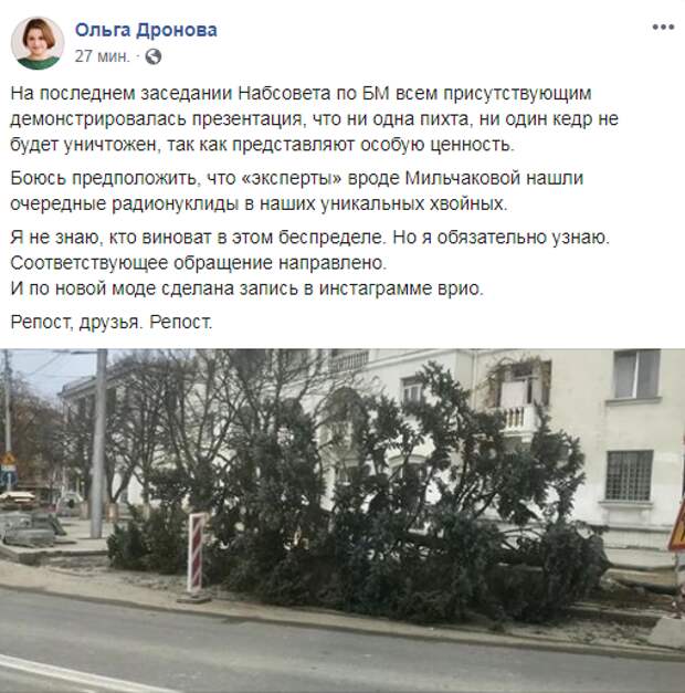 В Севастополе на центральной улице безжалостно уничтожают деревья 