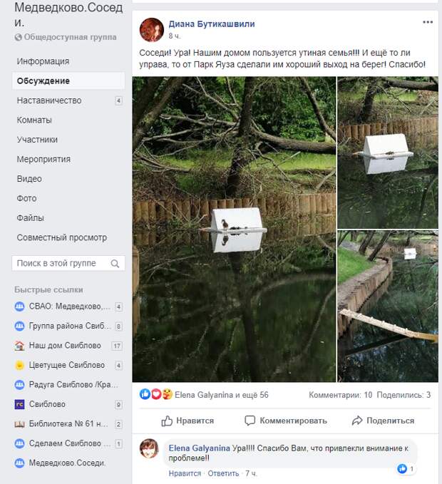 Утят спасли на пруду в Южном Медведкове