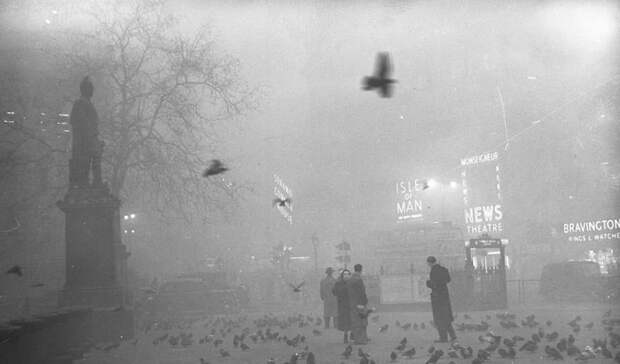 Великий смог В холодную ночь на 5 декабря 1952 года, ужасный смог накрыл столицу Великобритании целиком. Холод, антициклон и практически безветренная погода создали идеальные условия для того, чтобы завеса грязи и пыли, трансформировавшаяся в смог, провисела над городом как можно дольше.
