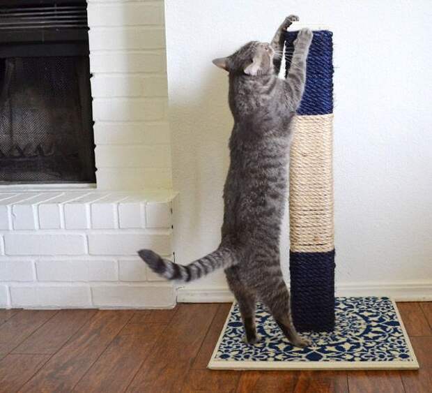 DIY-Cat-Scratching-post