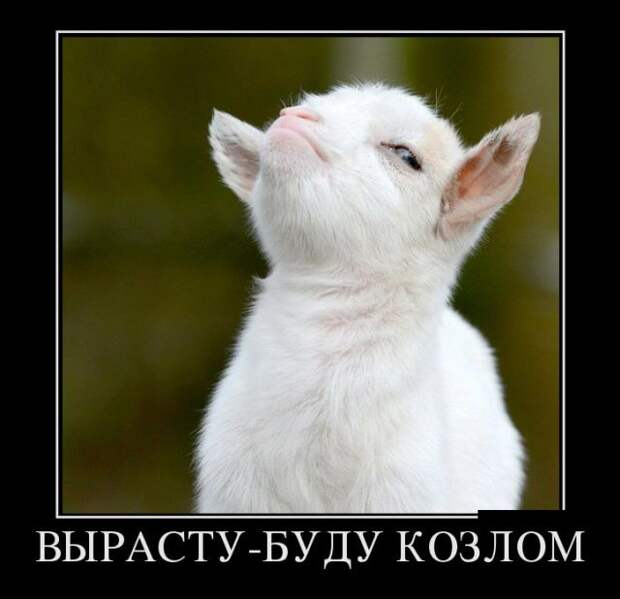 Демотиваторы (30 фото)