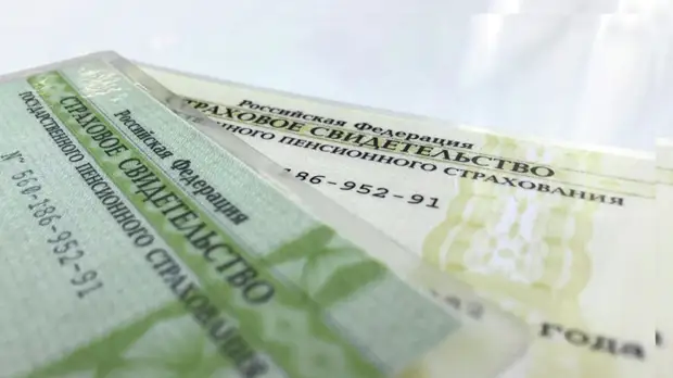 В ПФР назвали сроки отказа от бумажных СНИЛС