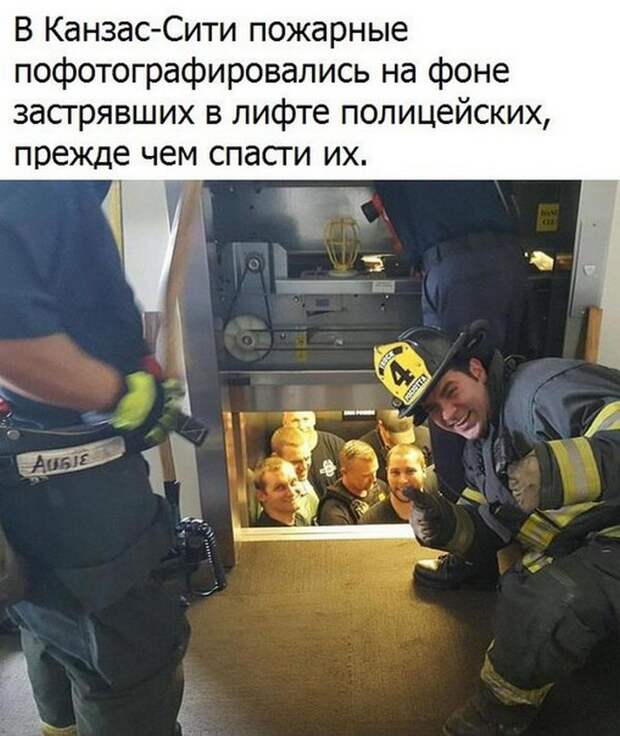 Прикольные картинки 24.08.17