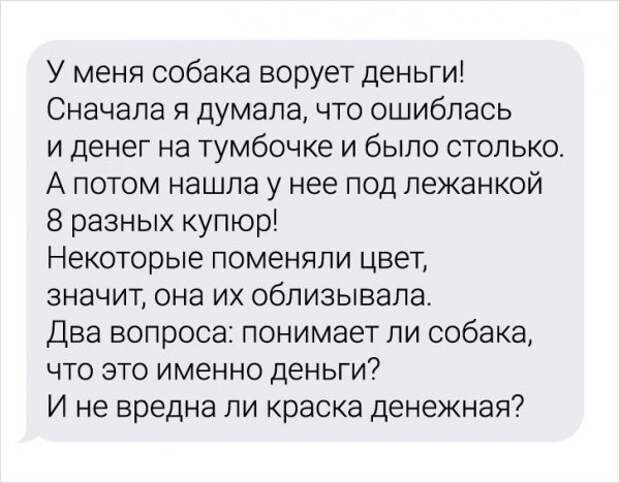 Девушка-ветеринар поделилась забавными переписками с ее клиентами