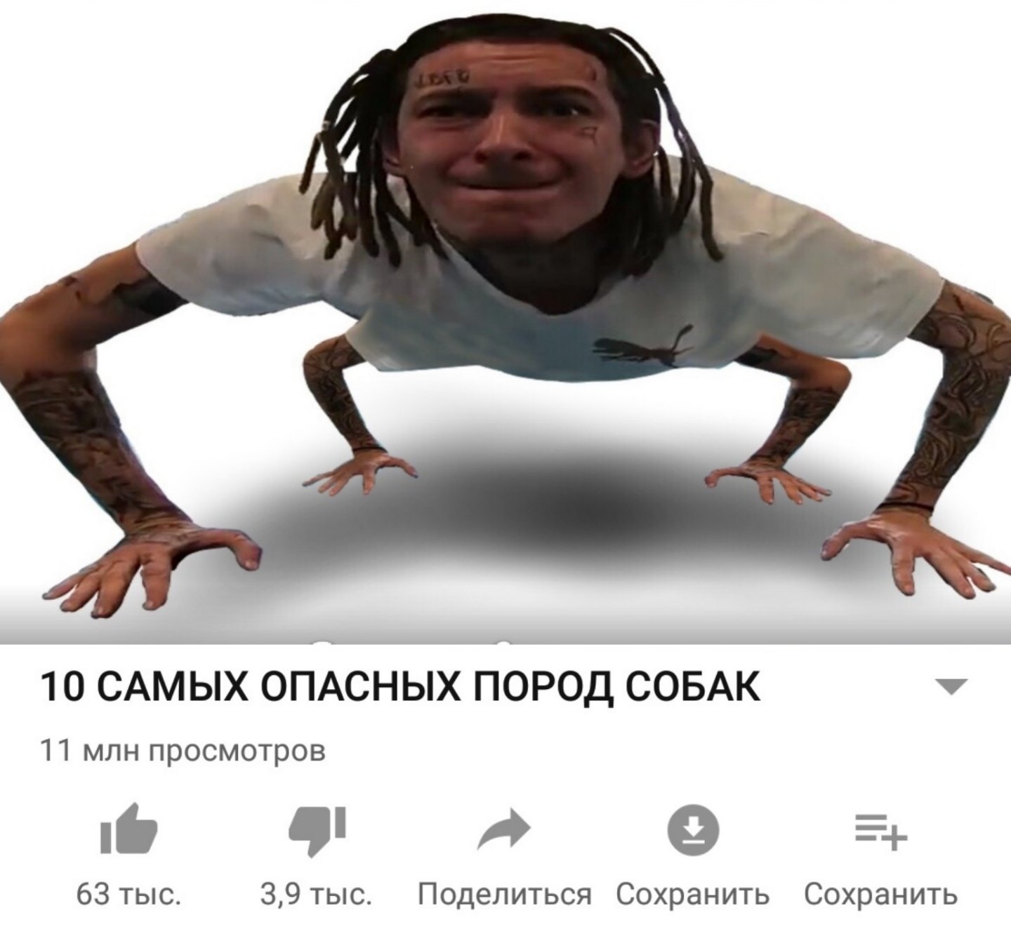 Мемы про Кизару в виде паука