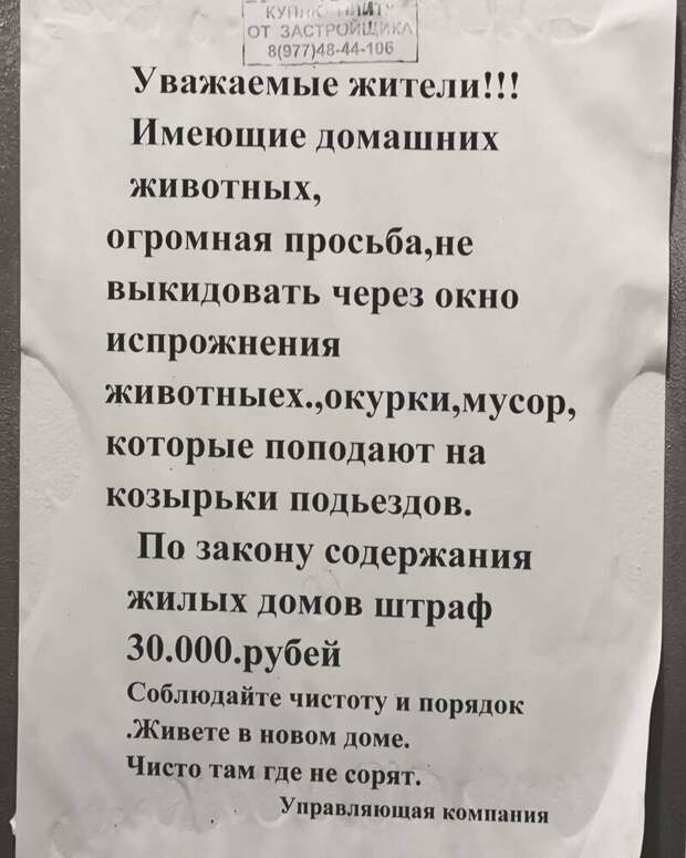 Грамотеи современности, по которым начальная школа плачет Грамотеи современности, по которым начальная школа плачет