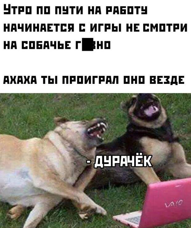 Смешные картинки 25 марта 2022 года