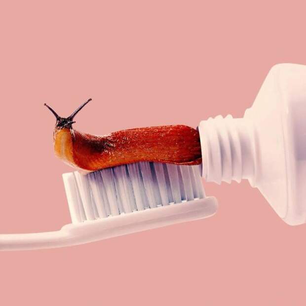 Зубная паста. Автор: Randy Lewis.