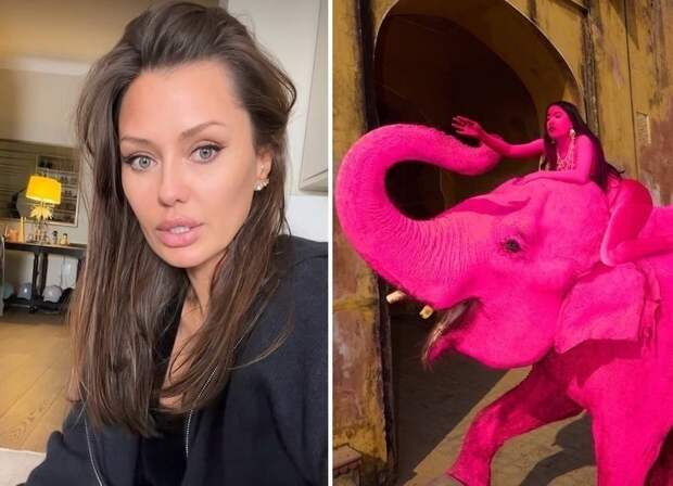 «В своем уме?»: Боня обвинила фотографа из России в гибели слонихи