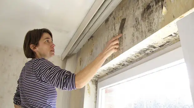 Юрист рассказал, что делать, если залило квартиру