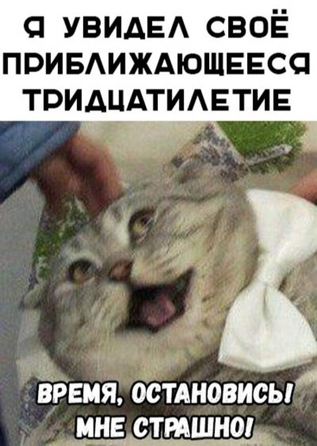 Подборка картинок (32 фото)