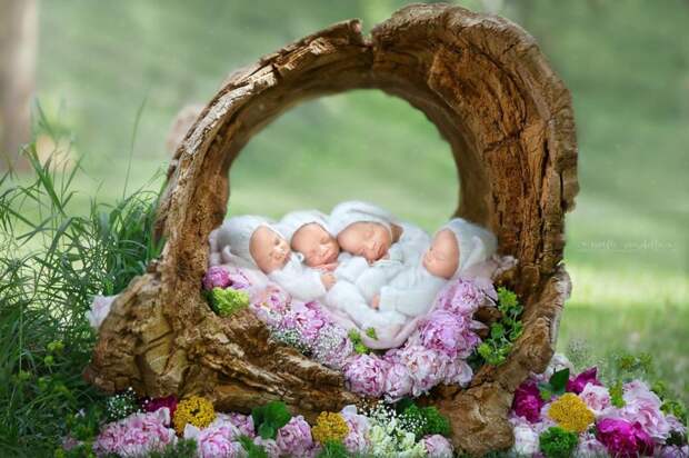 Лишь один шанс на миллион: женщина родила идентичных четверняшек и сделала потрясающую фотосессию
