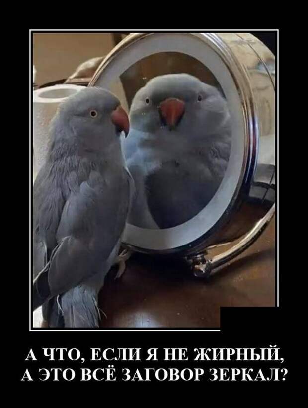 Демотиваторы 18 июня 2021