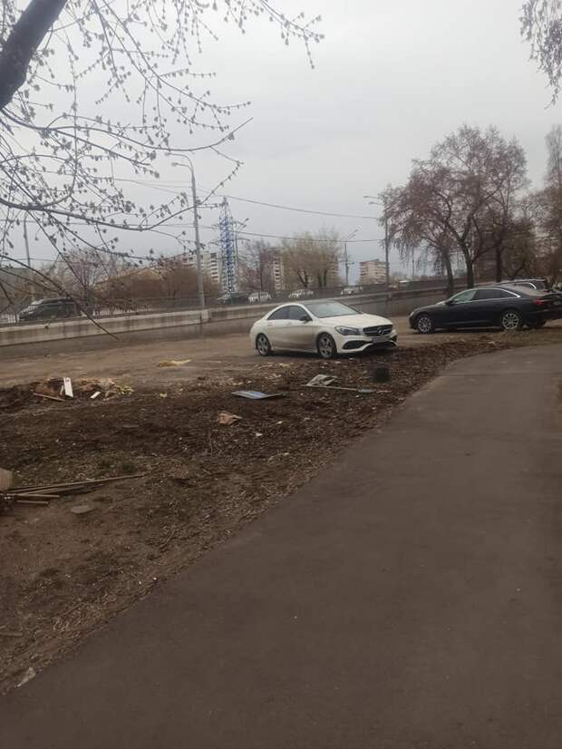Парковка на Шереметьевской останется – управа