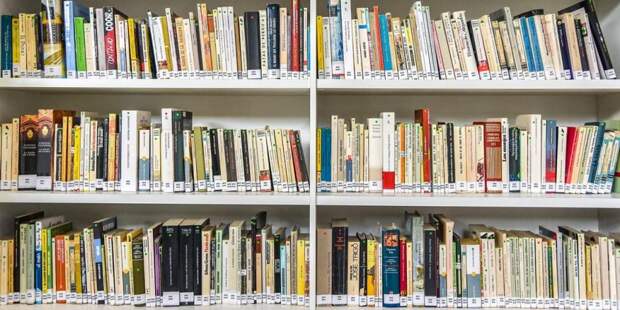 Сергунина: В Москве создан онлайн-сервис для бронирования книг в библиотеках. Фото: Е. Самарин mos.ru