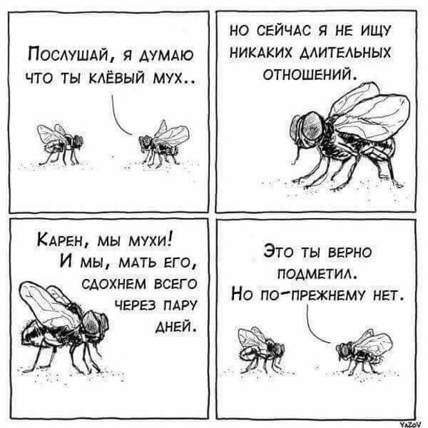 Подборка комиксов и карикатур