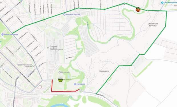 В Туле введут дорожные ограничения с 3 по 5 сентября из-за опиловки деревьев