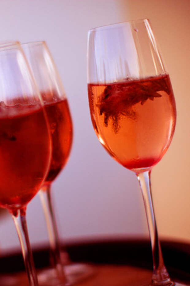 3726295_hibiscuswine (300x450, 36Kb)