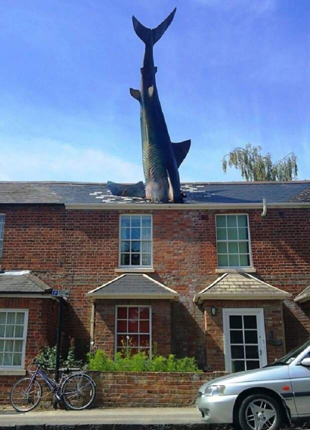 5. Хедингтонская акула, Оксфорд, Великобритания интересное, креатив на улице, статуи