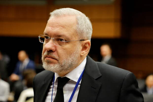 Арест экс-министра энергетики Украины связали с «договорняком»