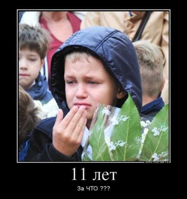 Новые демотиваторы (15 шт)
