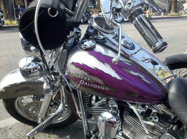 Необычные фотографии из Google Street View