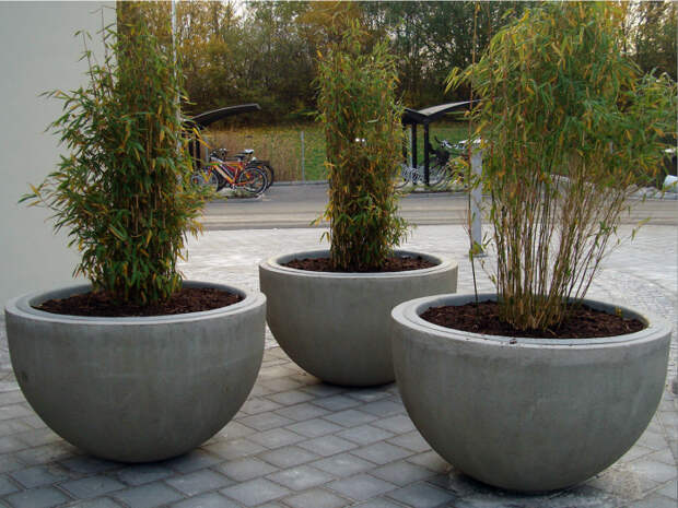 Достопримечательностью любого двора могут стать обыкновенные бетонные кашпо полусферической формы. 