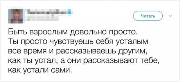 Юмор и комментарии из социальных сетей (25 скриншотов)