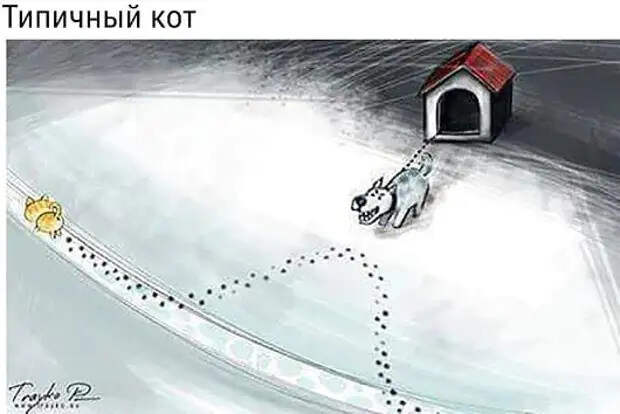 Ночь. В постели муж с женой. Жена к мужу и так мостится, и этак…