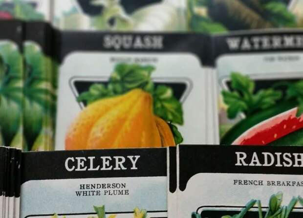 Дражирование семян в домашних условиях: делаем сами с помощью желатина и перегноя