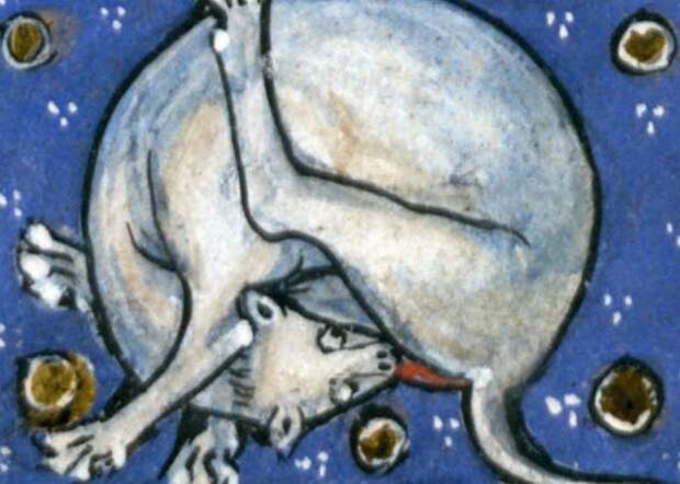 Средневековое искусство: кошки, вылизывающие пятую точку.