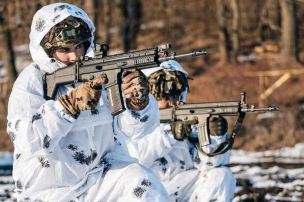 Минобороны России: потери ВСУ за сутки в зоне СВО составили около 1335 человек