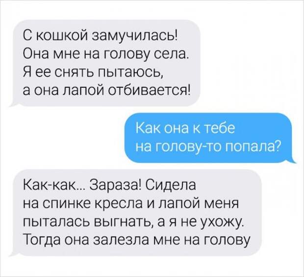 Девушка-ветеринар поделилась забавными переписками с ее клиентами