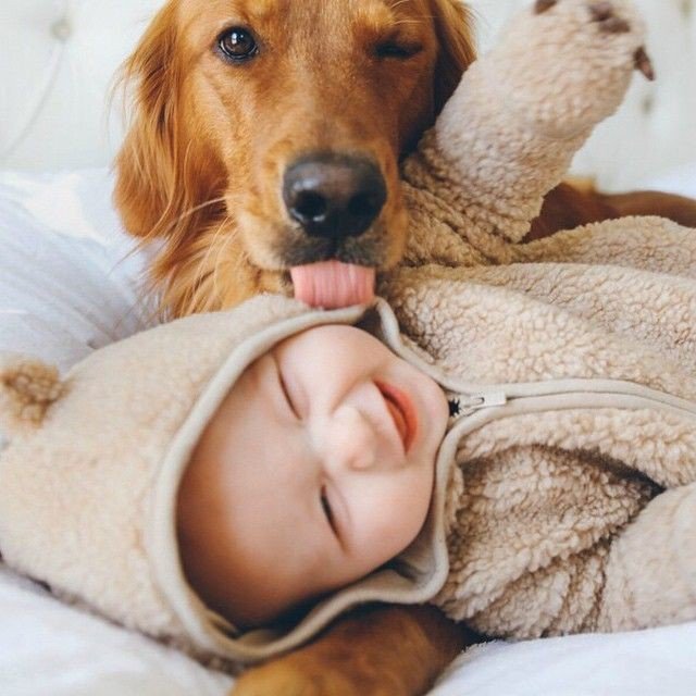 Няньки дети, дружба, животные, забота