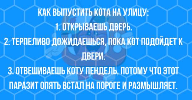Анекдоты от которых смешно