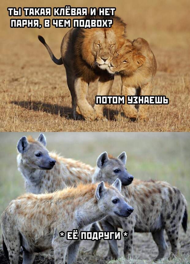 Смешные картинки 25 марта 2022 года